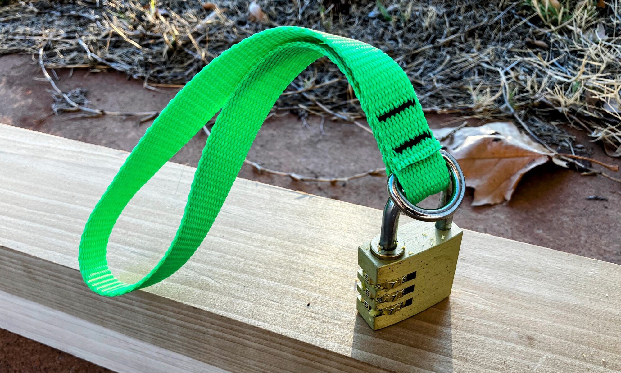 Lock-It Lanyard with Padlock